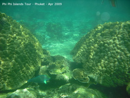 20090420 Phi Phi Island - Maya Bay- Koh Khai  44 of 182 